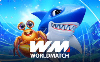 WM worldmatch